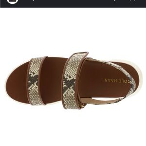 Cole Haan ZeroGrand Meritt Sandal in Brown and Snake Print